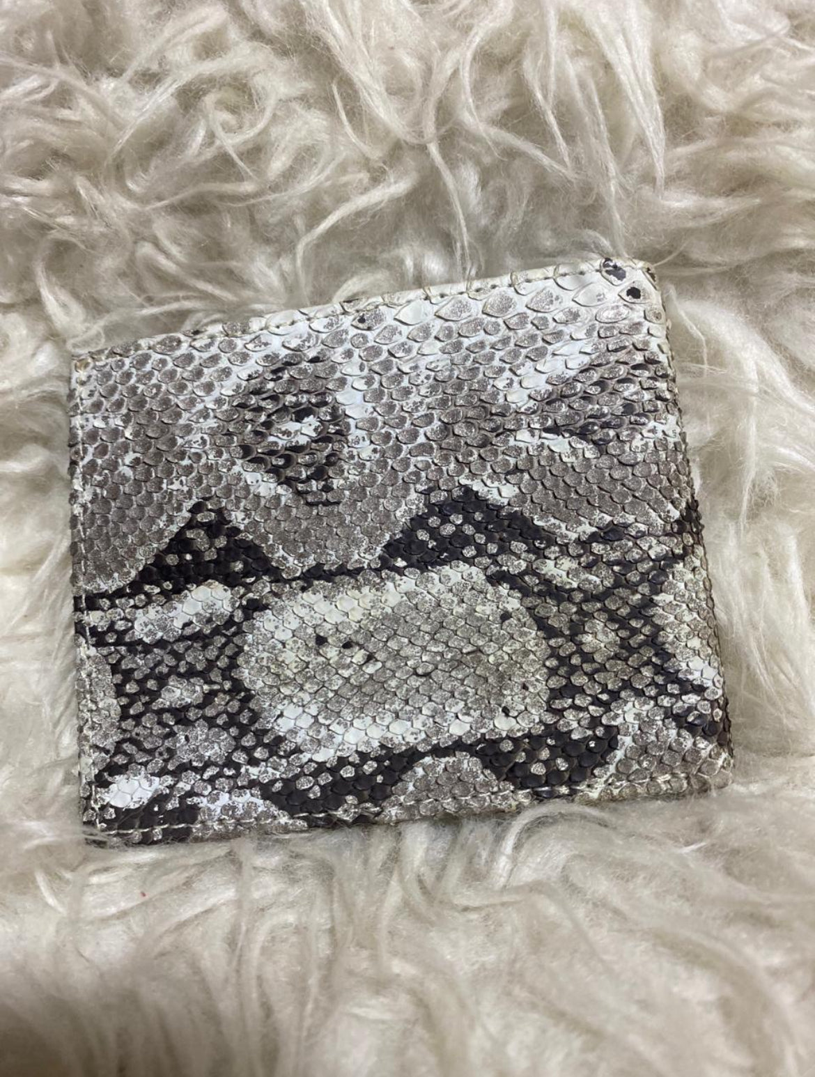 Snake Skin wallet