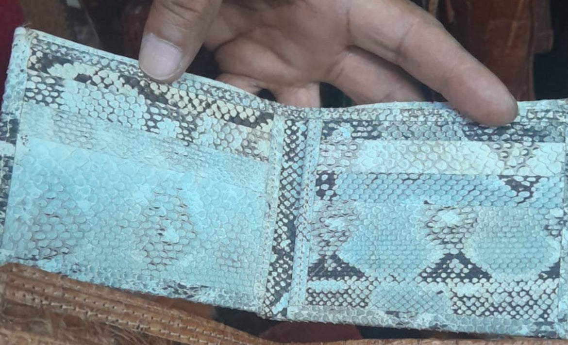 Snake Skin wallet