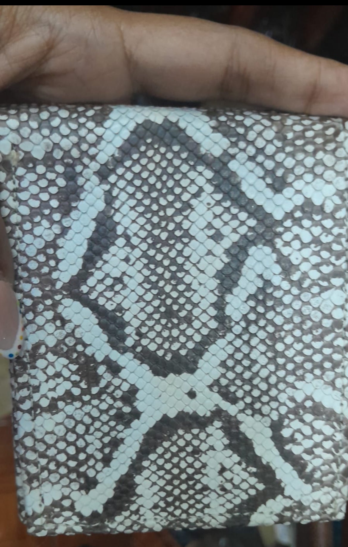 Snake Skin wallet
