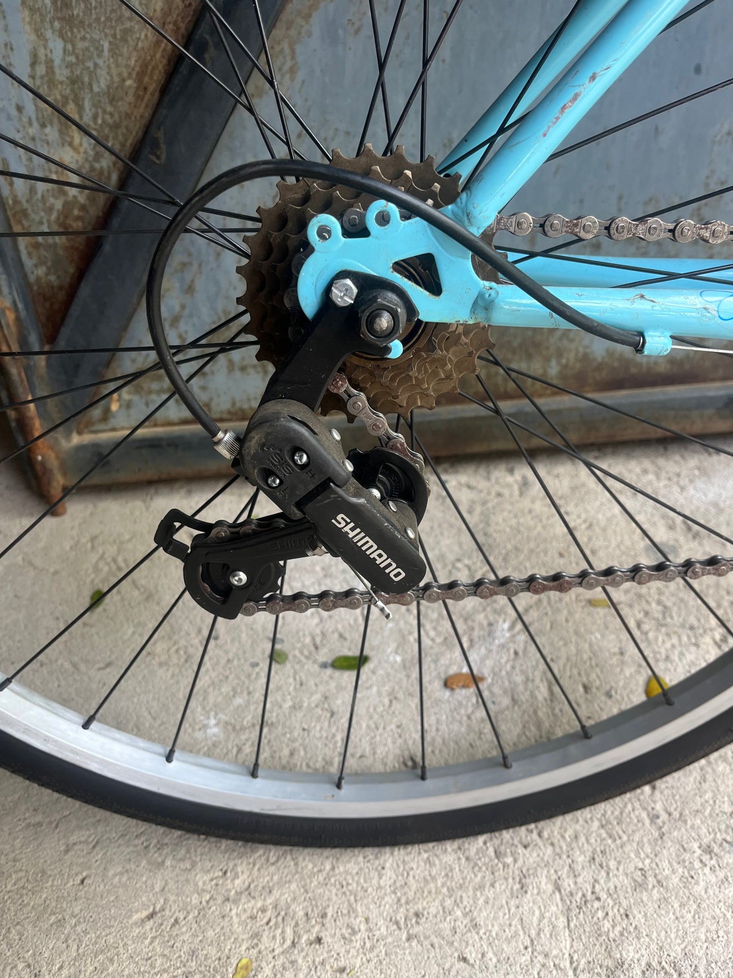 Women’s Bicycle Rental